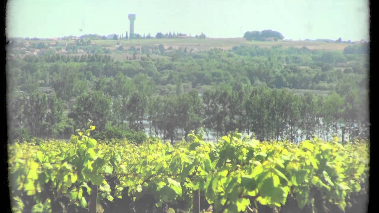 Voyage dans le Vignoble Nantais