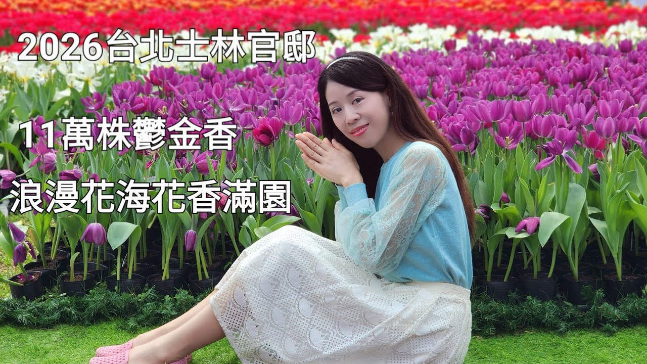 2026台北士林官邸 11萬株鬱金香，浪漫花海，花香滿園😊 展期2/26~3/8