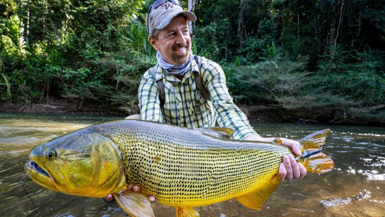Bolivia's Savage Golden Dorado