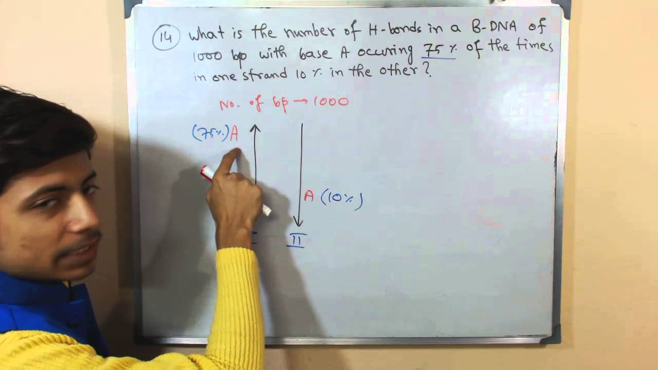 DNA base pairing and hydrogen bond in DNA problem | CSIR NET exam answers