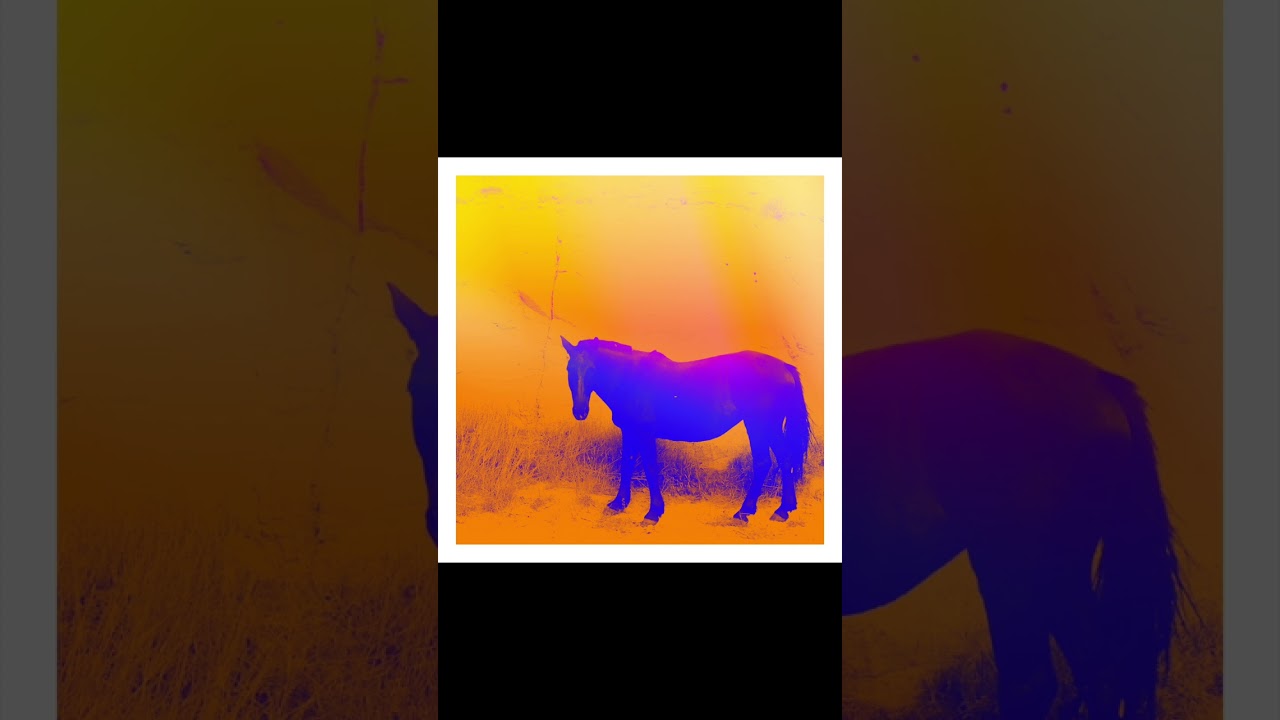 알레프 (ALEPH) - 워커홀릭 (Workaholic)