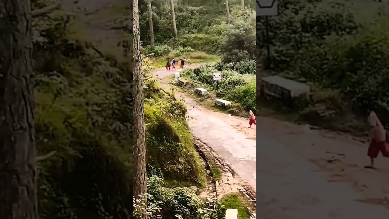 Leopard Attacks In Uttarakhand 