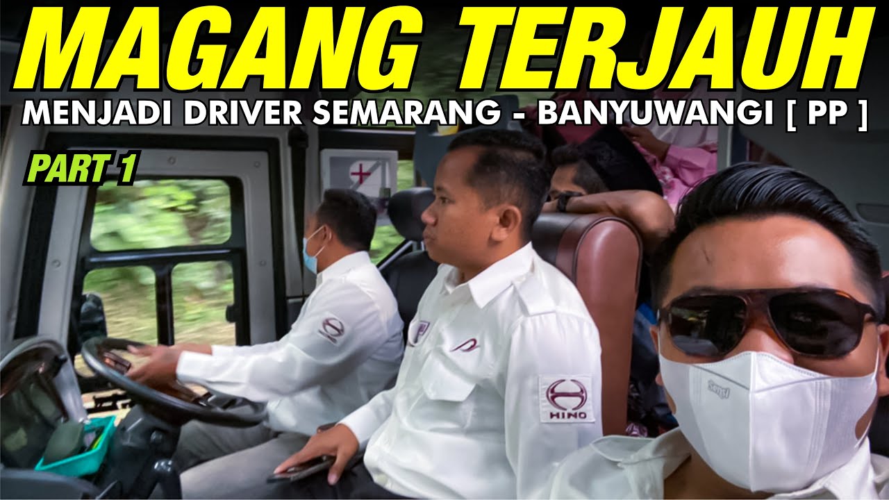 (1/2) Youtuber Magang Sebagai PENGEMUDI CADANGAN BUS Pesona PP Semarang - Banyuwangi | MAGANG Eps. 5