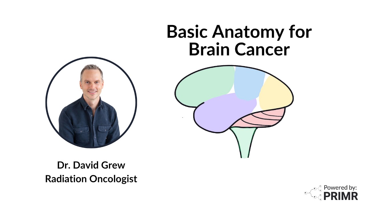 Basic Anatomy for Brain Cancer
