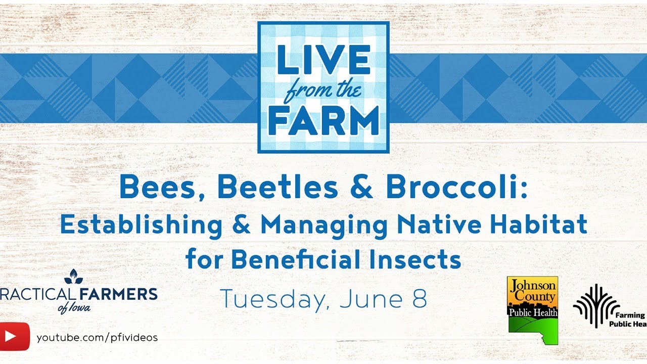 Bees, Beetles & Broccoli: Establishing & Managing Native Habitat for Beneficial Insects