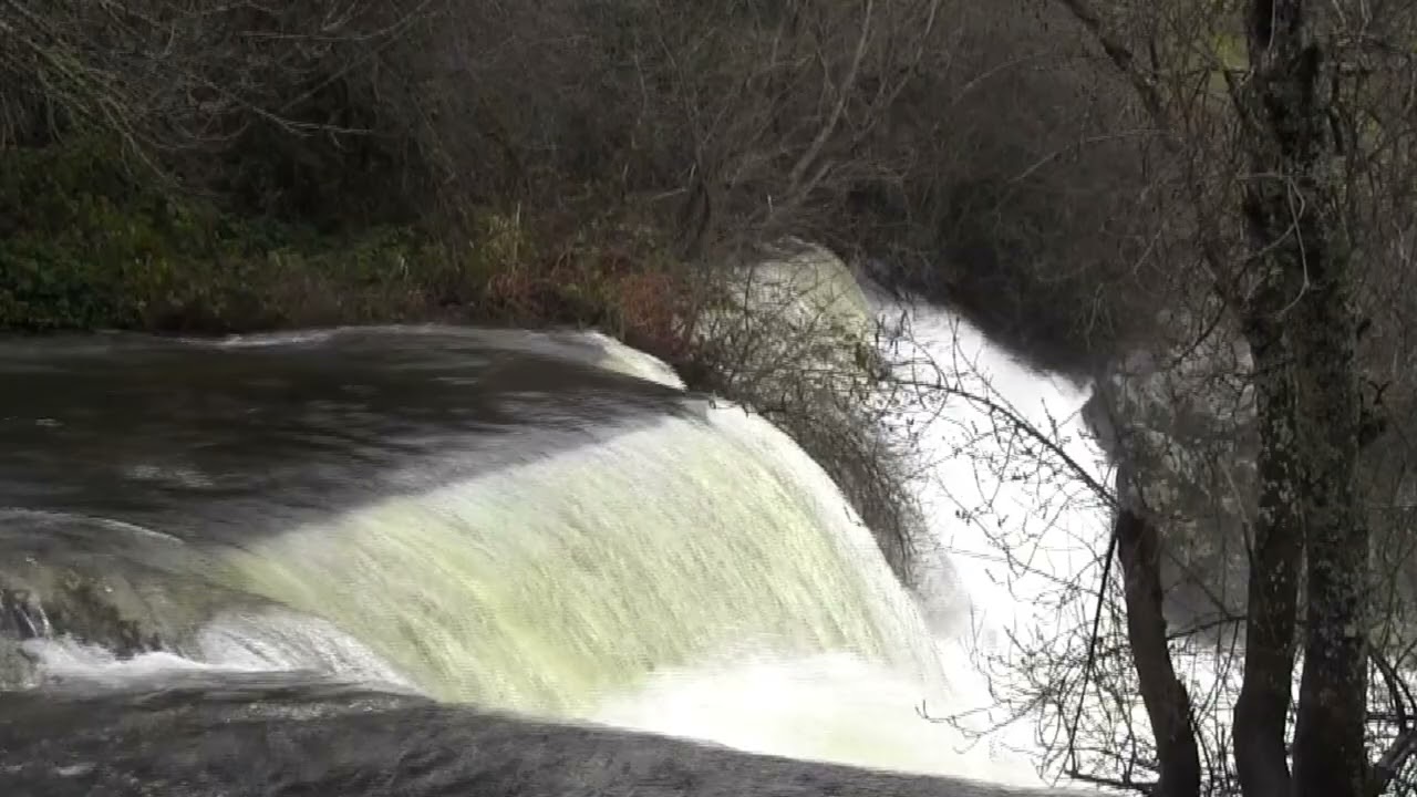 Waterfall in Nature 💧 | True Ambiences – Natural Water Sound (1 Hour)