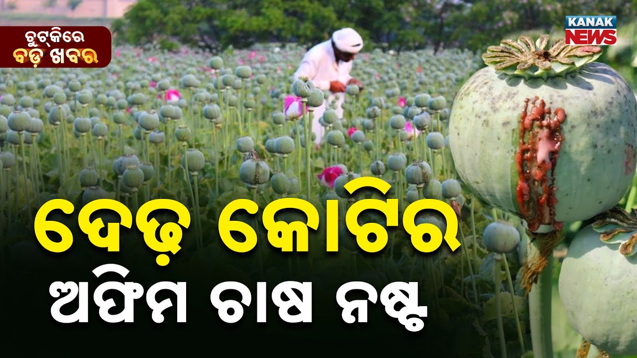 Chutkire Bada Khabar || 2nd MARCH 2026 || 12NOON Digital Bulletin || Kanak News