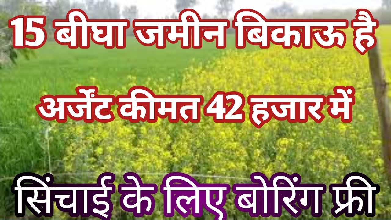 42 thousand rupees per bigha is available for sale, total land is 15 bigha, one boring free agriculture land for sale