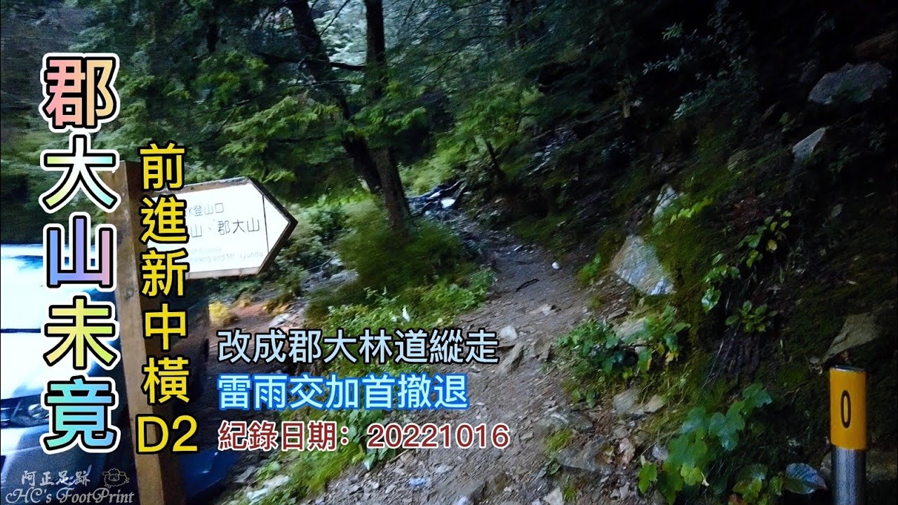 登郡大山未竟，前進新中橫D2，改成郡大林道32K到23K縱走,偶遇玉山薊、龍鬚草、郡大媽祖廟、千年紅檜神木-FP170,3