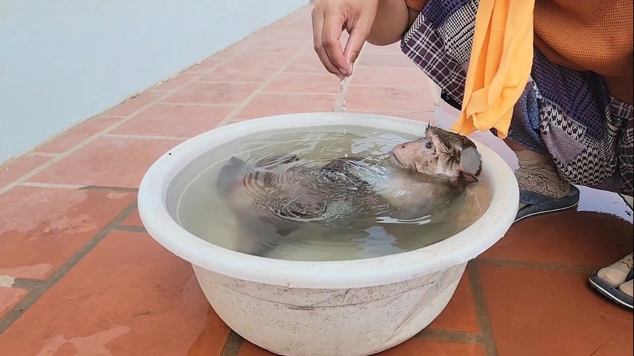 Mom Cleaning My Beloved LyLy With Hot Water