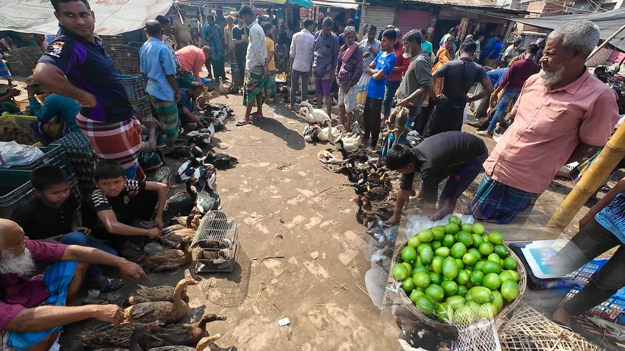 রমজানে বাজারে আগুন 🔥 লেবু, বেগুন, হাঁস, মুরগি, গরুর মাংস দাম | rural market in Bangladesh