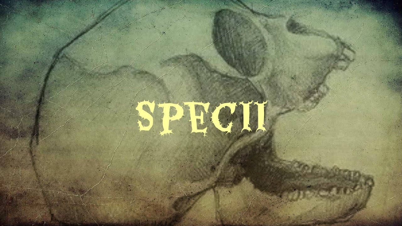 Specii - Strada stramba (ambele parti) [HQ + VERSURI]