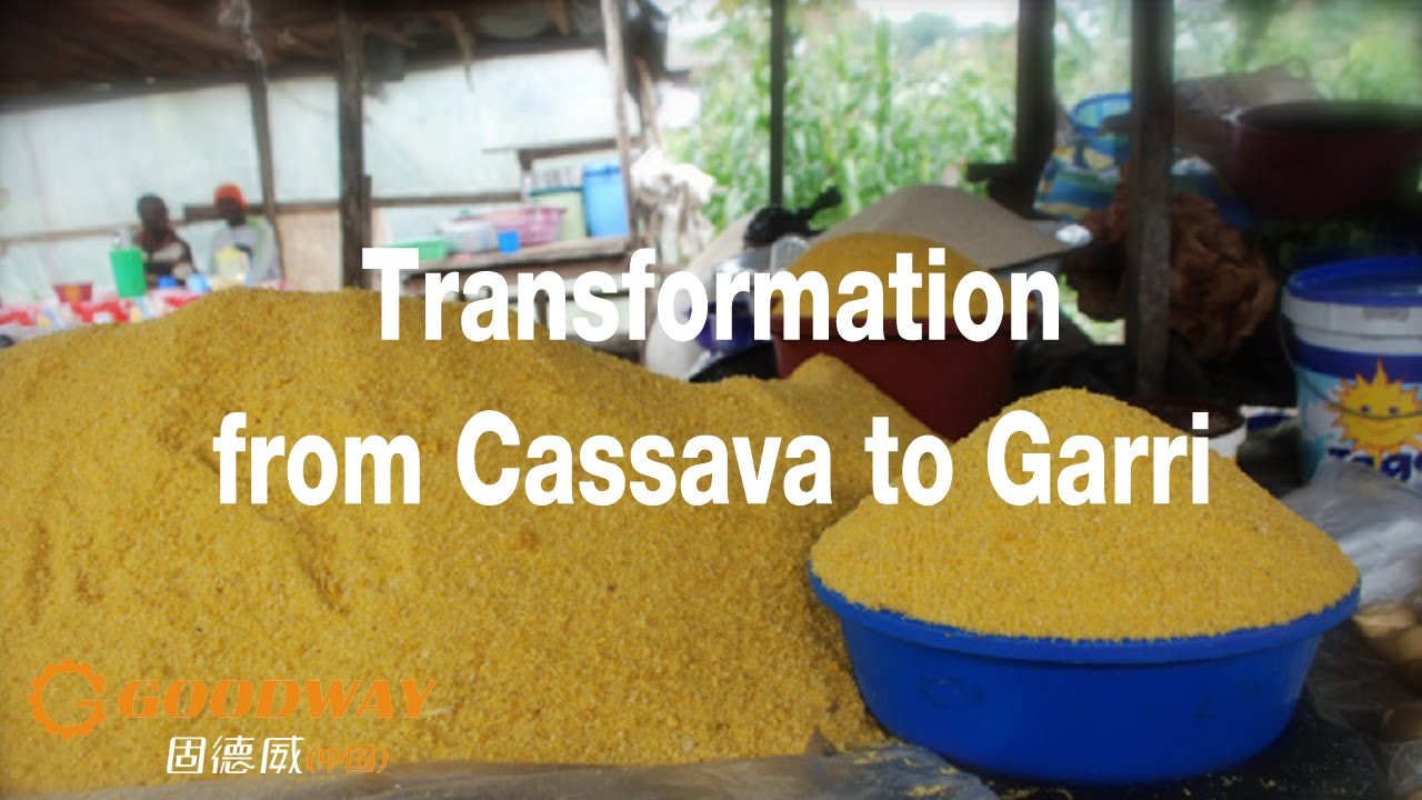 Ghana On site Garri Production Process made from Fresh Cassava