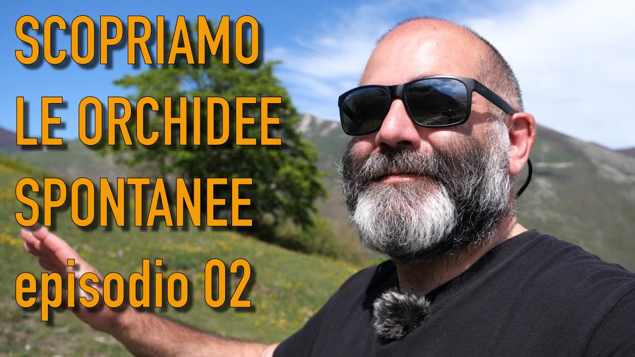 Scopriamo le ORCHIDEE SPONTANEE nel Parco del Monte Cucco