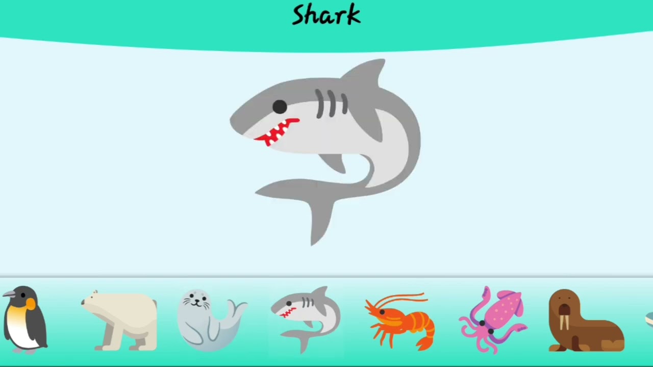  learnning about aquatic animal name ☝️