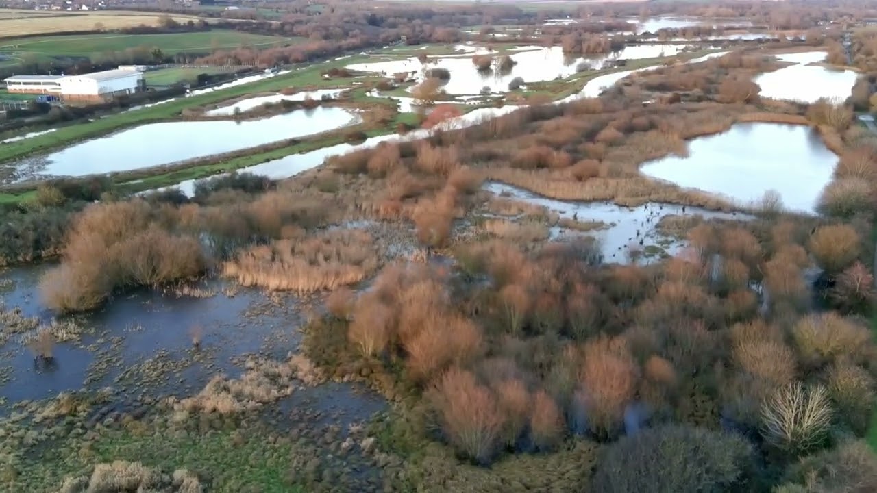 Nene Bridge, Higham