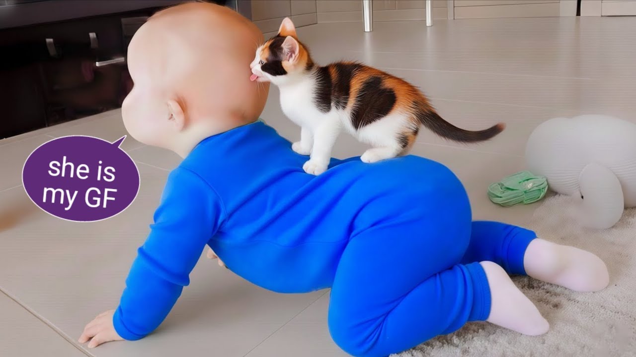Babies vs Pets: The Ultimate Funniest Showdown - Cute Baby Videos || COOL PEACHY trending 