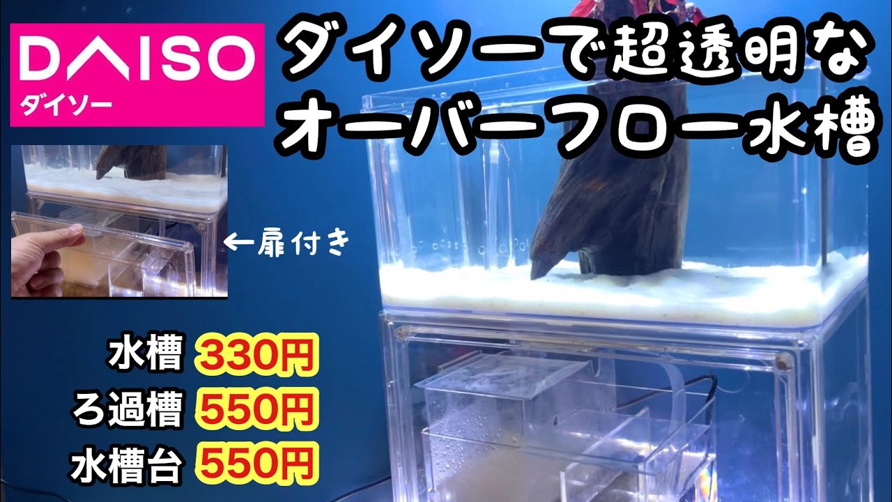 ダイソーで全部透明なオーバーフロー水槽を作ります【100均アクアリウムNo.14】