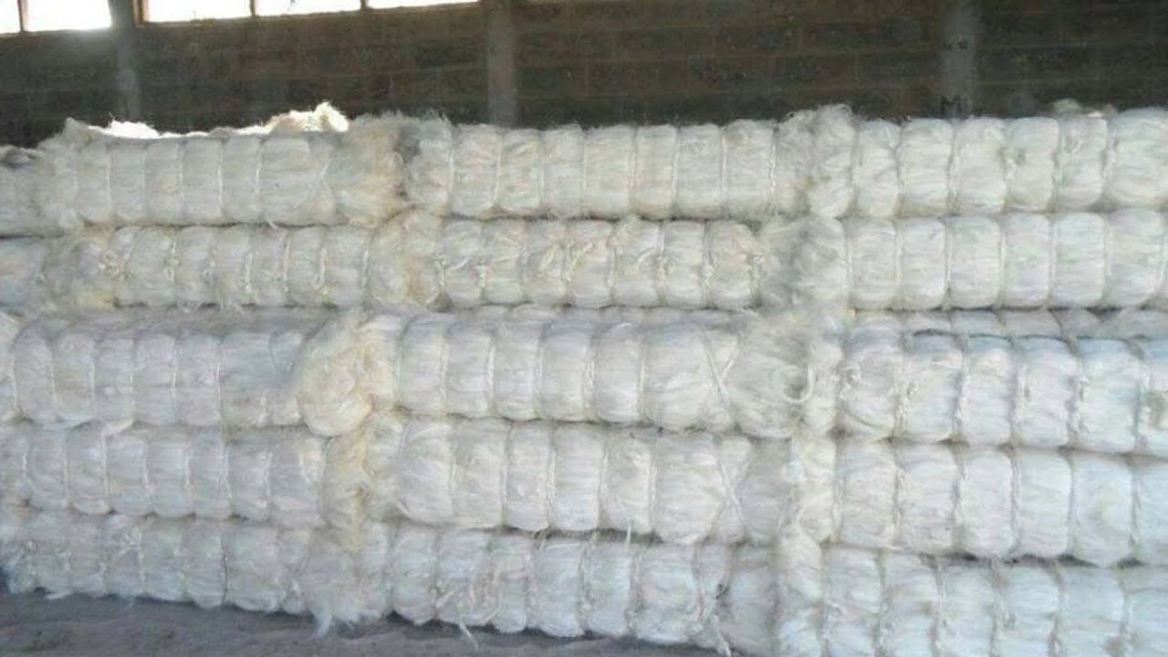 Sisal Fiber Bale Press Baling Machine/firber Compress