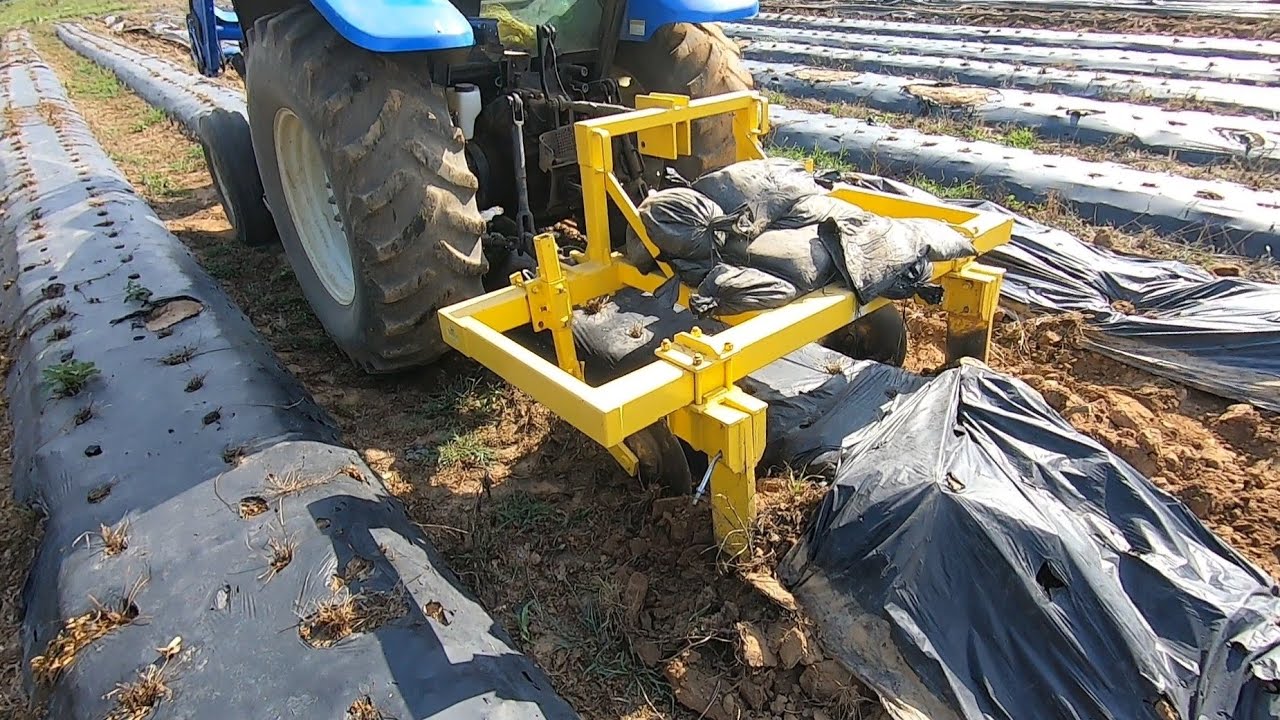5 Steps to Making Lifting Plastic Mulch Easier