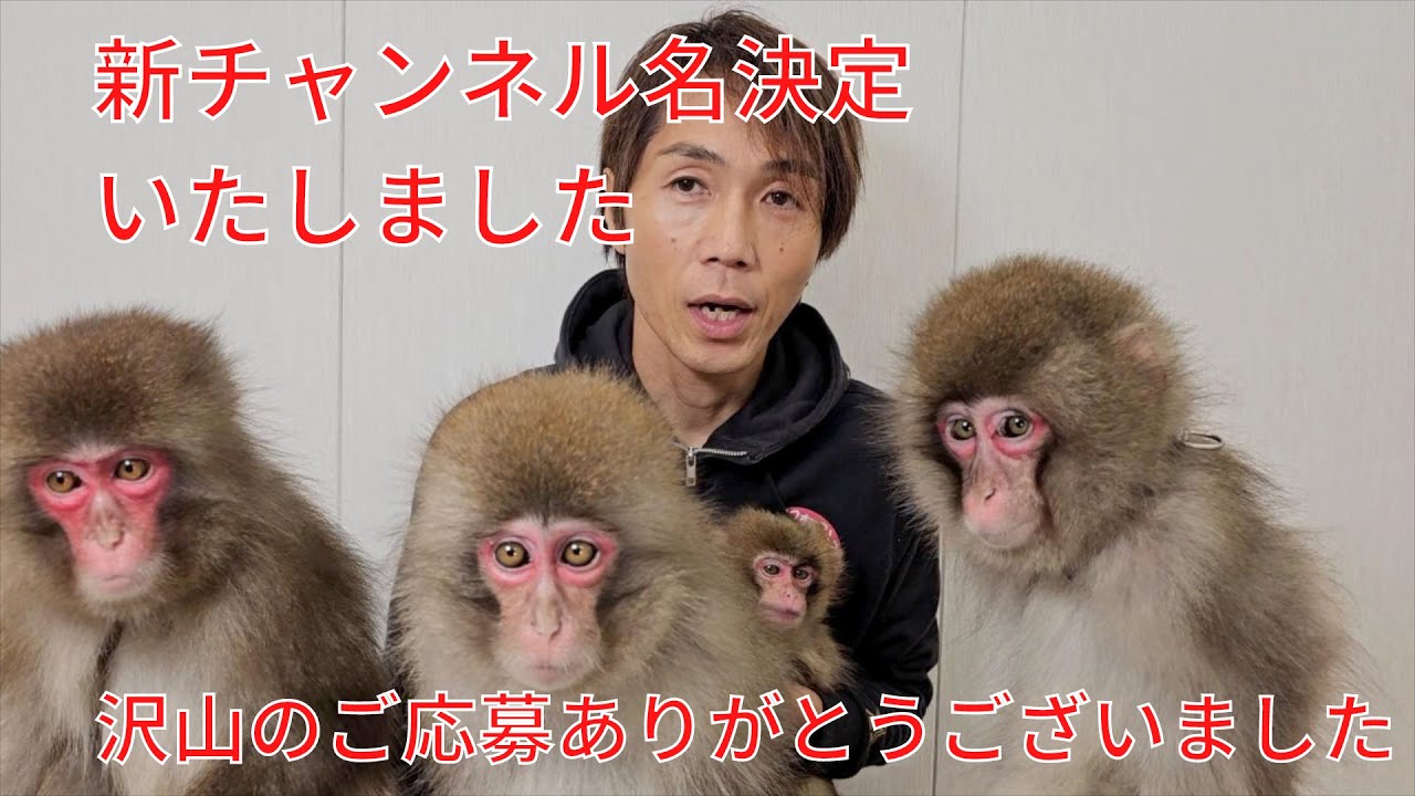 新チャンネル名が決定いたしました。