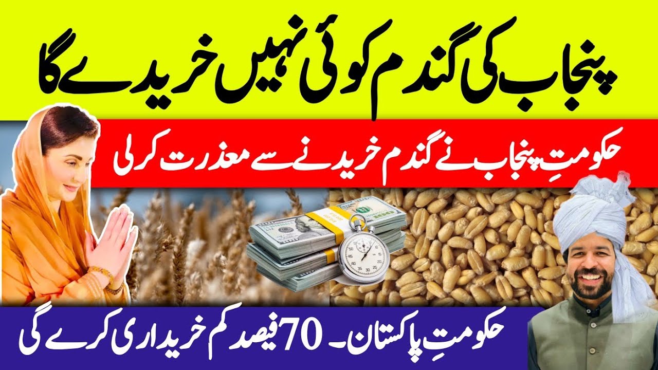 Wheat support price in Pakistan announced but Punjab will not buy wheat #wheatsupportprice #farming