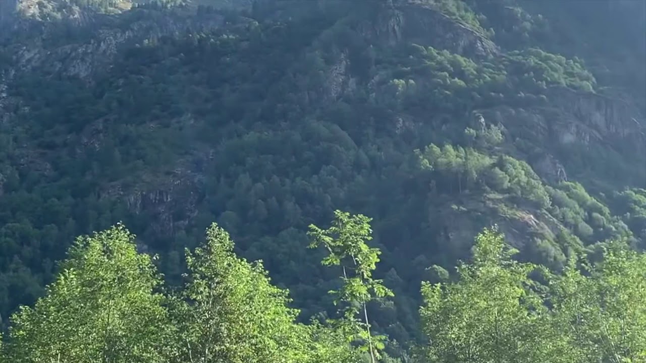 Spinning alla trota fiume - Tratto turistico Alta Valle Sesia