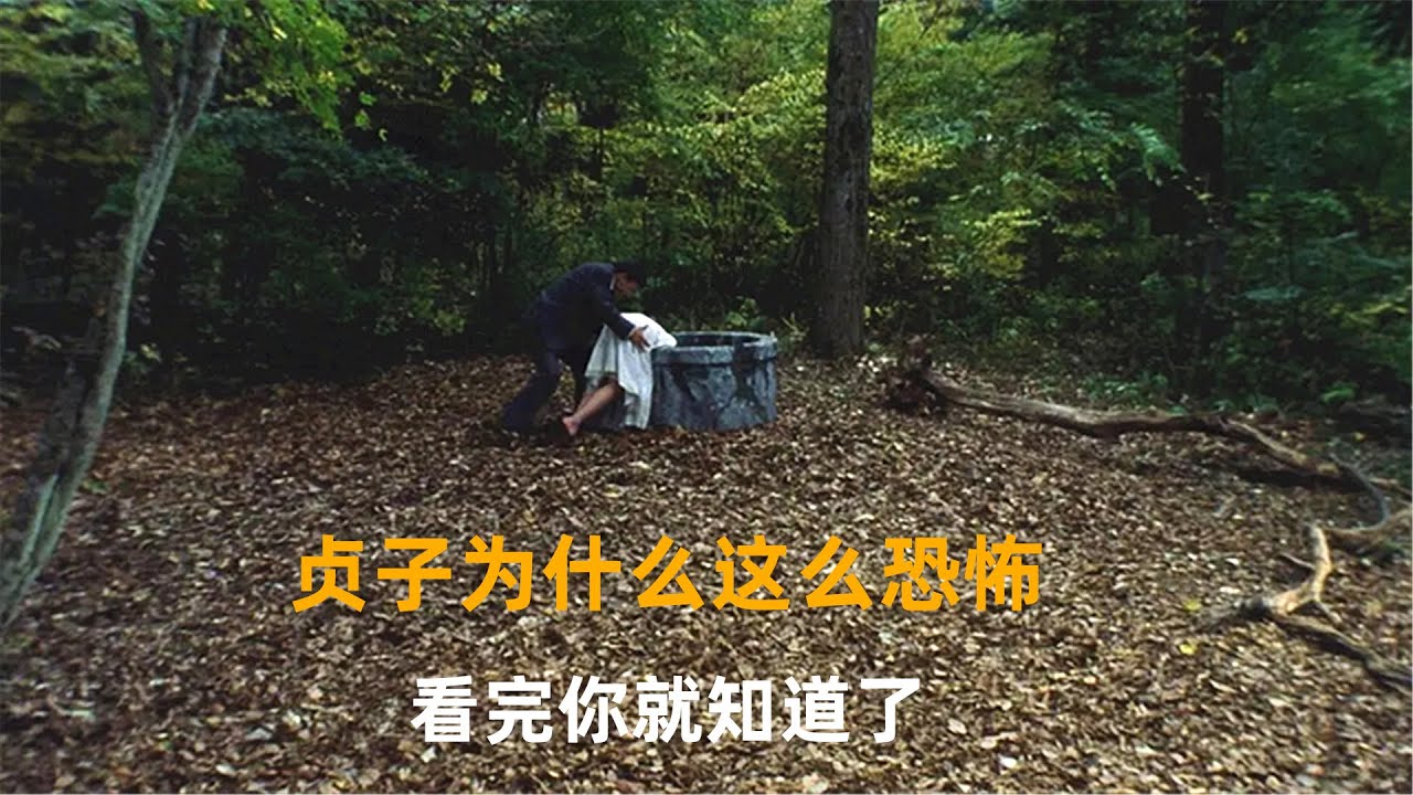 带你了解贞子的前世今生，本以为是个可恨的鬼，没想到竟如此悲惨绝望。