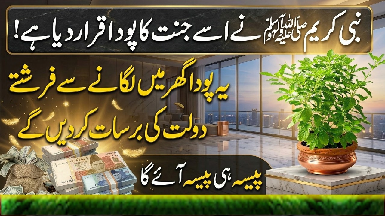 Ye Poda Ghar Mein Lagao Dolat Ki Barsaat Hogi | Dolat Wala Poda | Money Plant Amazing Benefits