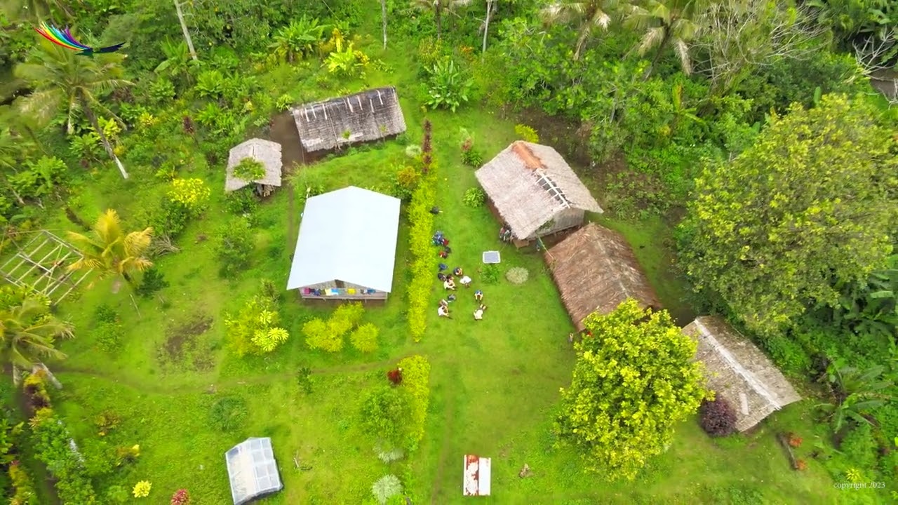 4k Drone footage Manbush trail, Malekula Vanuatu!