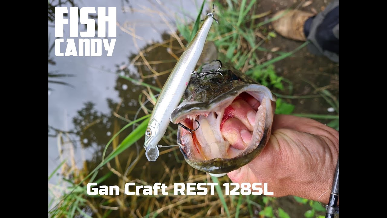 Gan Craft REST 128SL - Minnow für alle!