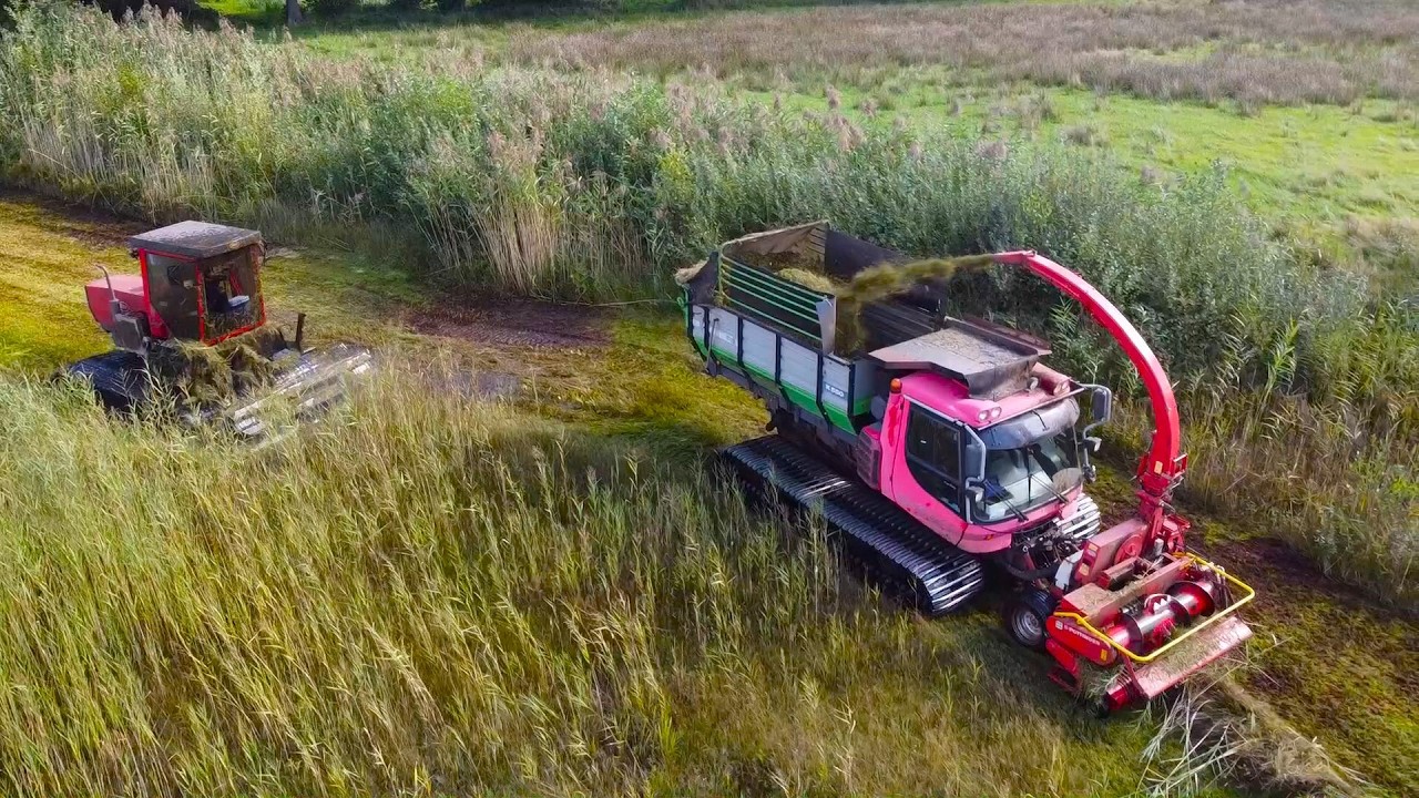 Vossbeld wetland maintenance