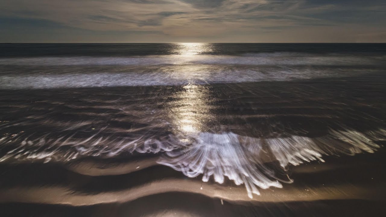 Ocean Waves ASMR for Deep Sleep – Relaxing Beach Sounds No Music