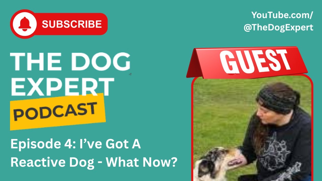 The Dog Expert Podcast: Season 1, Episode 4 - I've Got a Reactive Dog - Now What?