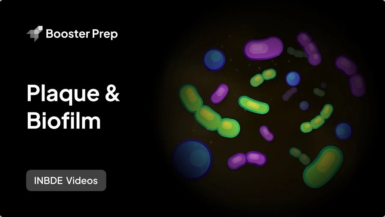 Periodontics | Plaque & Biofilm | INBDE, NDEB, ADAT