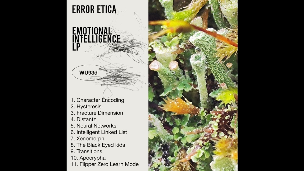 09.Error Etica - Transitions [WU93d]