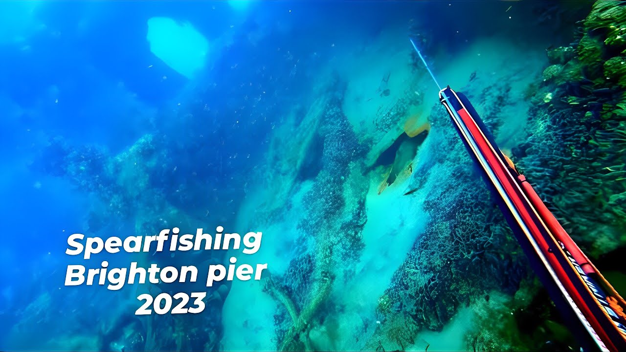 spearfishing under Brighton pier 2023 ! good to be back !
