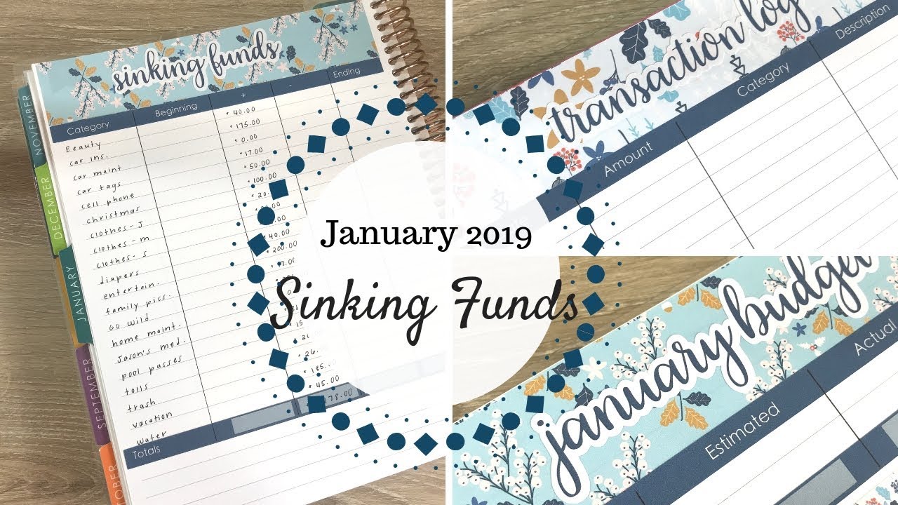 January 2019 Sinking Funds | Erin Condren Deluxe Monthly |