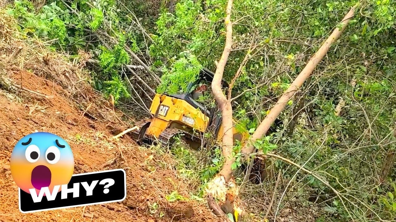 Incredible Works of Tiny Dozer Clearing The Huge Bushes in The Plantation