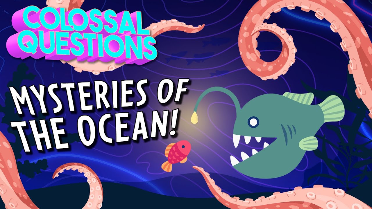 Secrets of the Deep! The Ocean's Greatest Mysteries! | COLOSSAL QUESTIONS