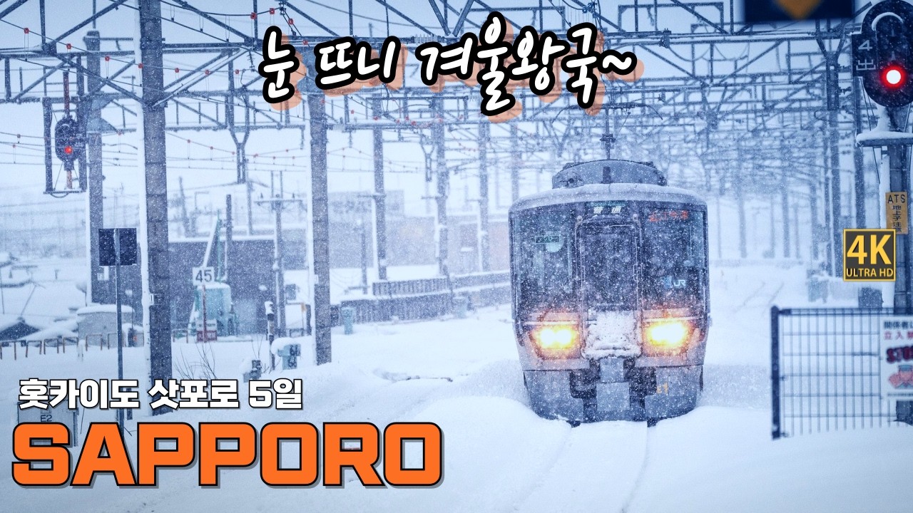 진짜 '겨울 왕국' 실사판... 4박 5일간의 홋카이도 삿포로 꿈같은 기록 ❄️