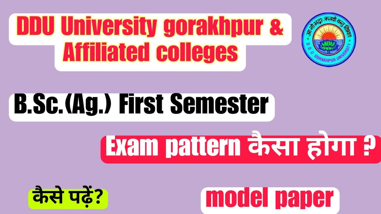 ddu exam pattern 2023| ddu exam pattern|cbcs system kya hai