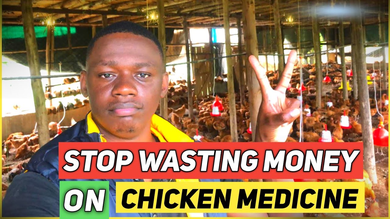 How To Save Money On Chicken Medicine
