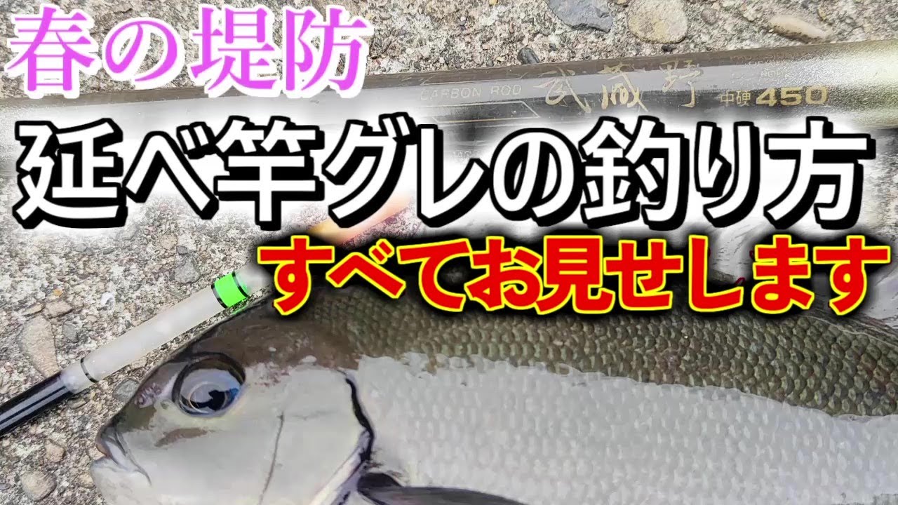 延べ竿堤防グレ　釣り方をすべてお見せします
