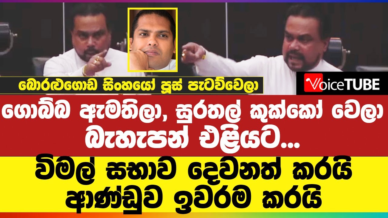ගොබ්බ ඇමතිලා, සුරතල් කුක්කෝ වෙලා - බැහැපන් එළියට... විමල් සභාව දෙවනත් කරයි - ආණ්ඩුව ඉවරම කරයි