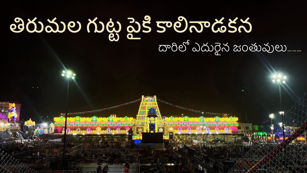 TirupatiTales: My Spiritual Adventure(PART -2)(DAY-2)(తిరుపతి పవిత్ర కొండల అన్వేషణ)(తిరుపతి అనుభవం )