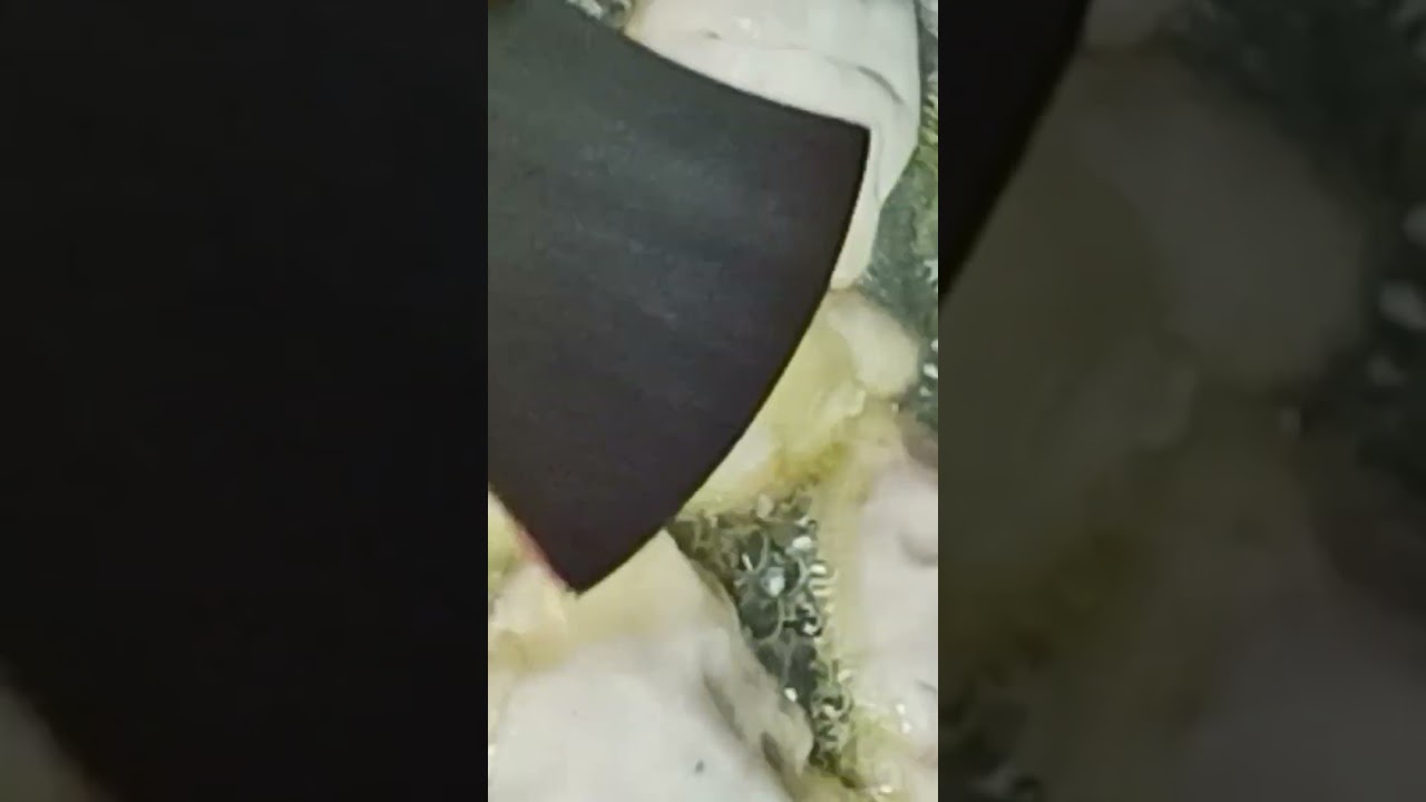 সিঙ্গারা বানানোর সহজ উপায়|সিঙ্গারা বানানোর রেসিপি 😘😘||#shorts #Niyonika