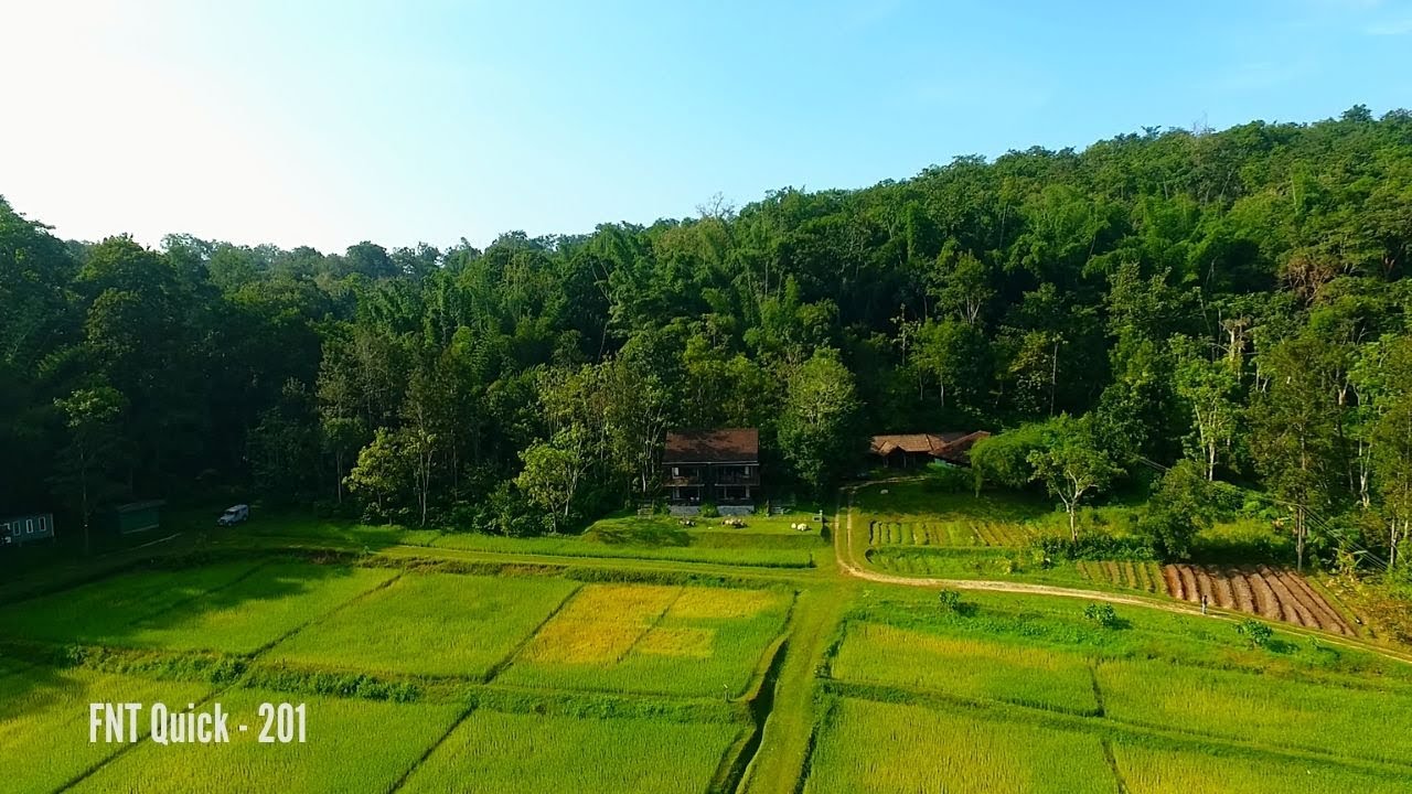 Vayal Veedu Resort Wayanad - A Resort Muthanga Wildlife Sanctuary