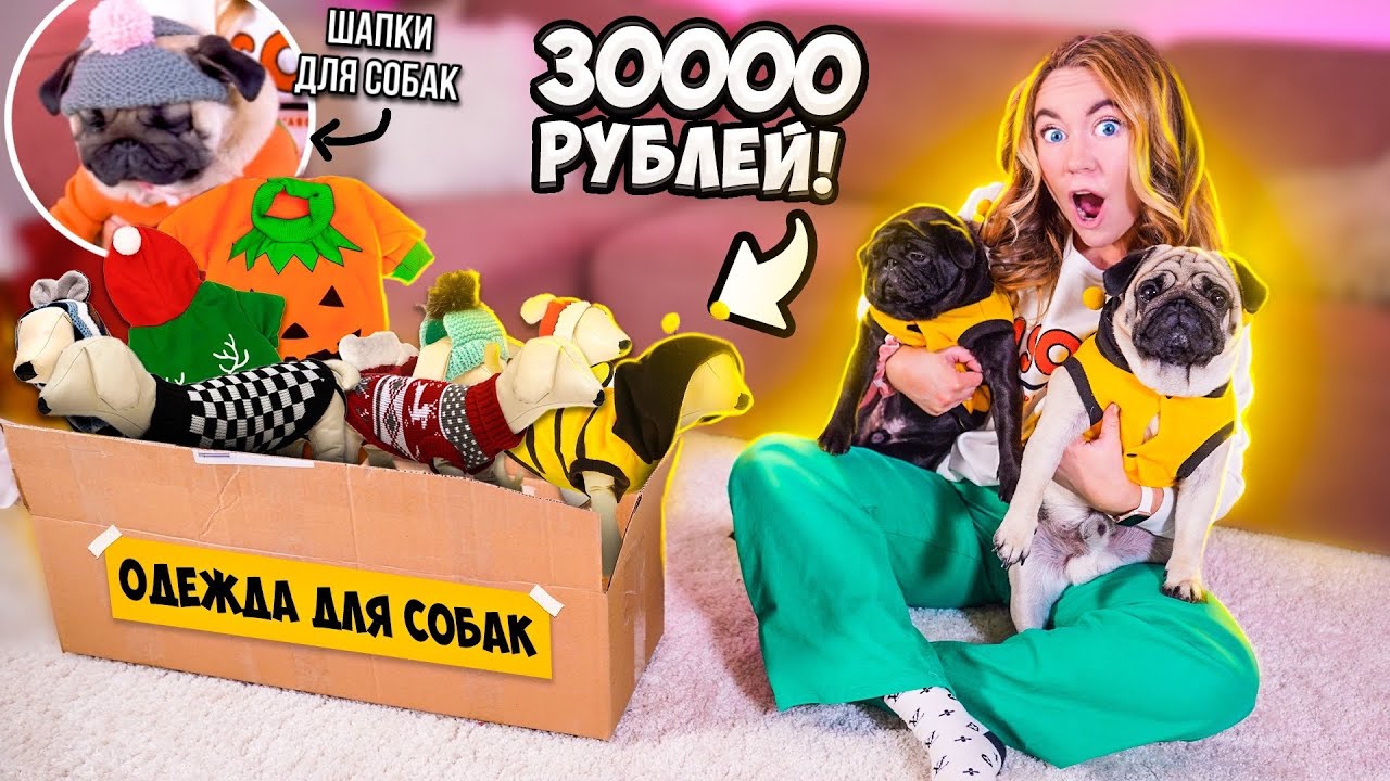 Угги и Шапки Для Мопсов🤣 ЗАКУПИЛАСЬ ОДЕЖДОЙ для СОБАК на 30000 руб! Распаковка и примерка !