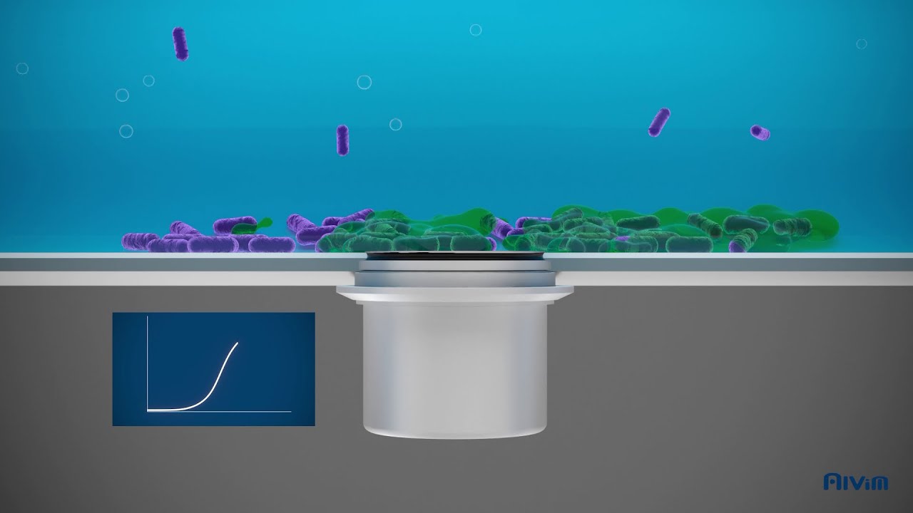 ALVIM Biofilm Sensor